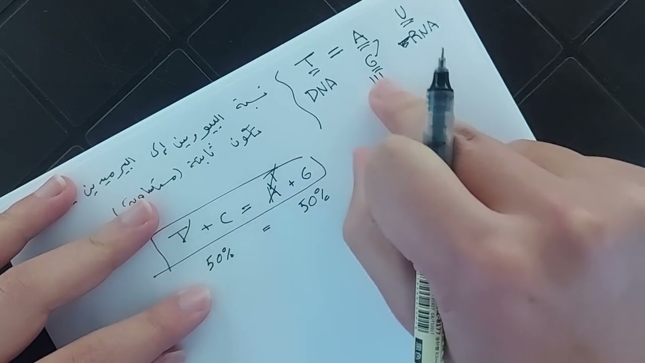 مراجعة سريعة ل قاعدة تشارغاف