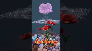 Good Morning  Nature   Animation 