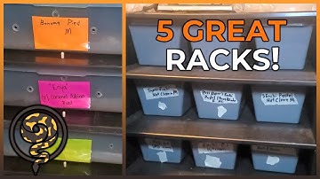 5 Snake Rack Producers that are GREAT!