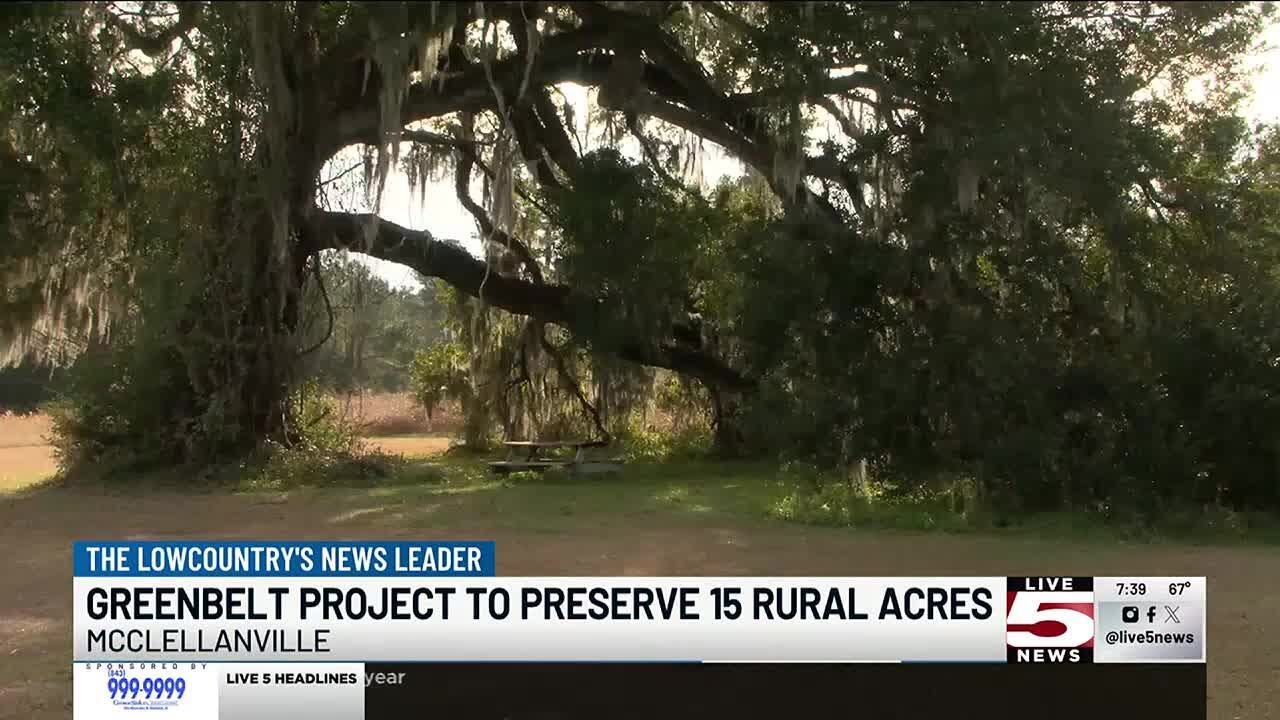 VIDEO: Greenbelt project to preserve 15 rural acres in McClellanville