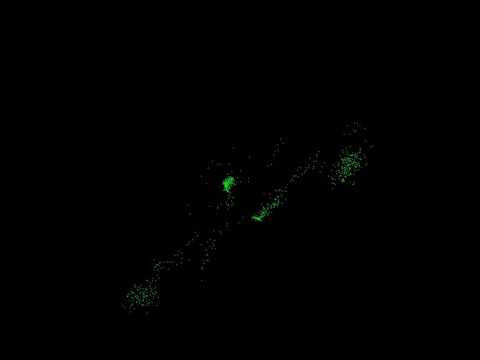Flock of bird simulation with twenty birds of prey