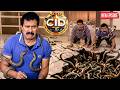 CID Bureau की जमीन फटी निकले अंदर से बहुत सारे जहरीले सांप ! || CID || Latest Episode ||