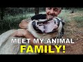 Dean Schneider - Hakuna Mipaka VLOG 6 Meet my Animal Family