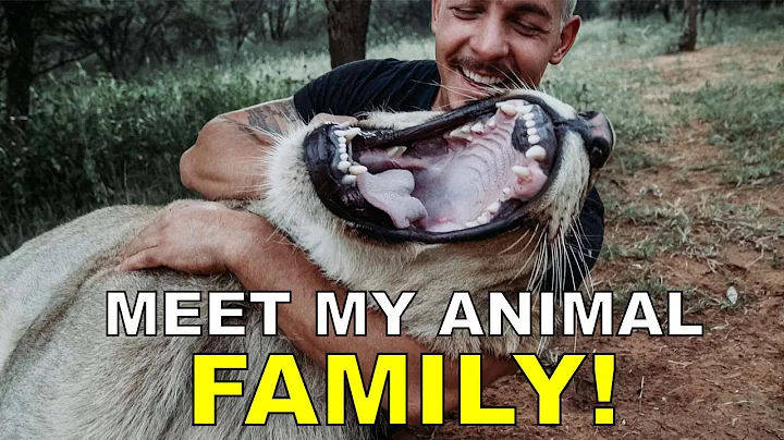Dean Schneider - Hakuna Mipaka VLOG 6 Meet my Anim...