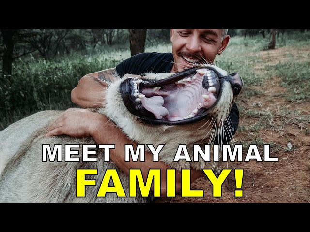 Dean Schneider - Hakuna Mipaka VLOG 6 Meet my Animal Family class=