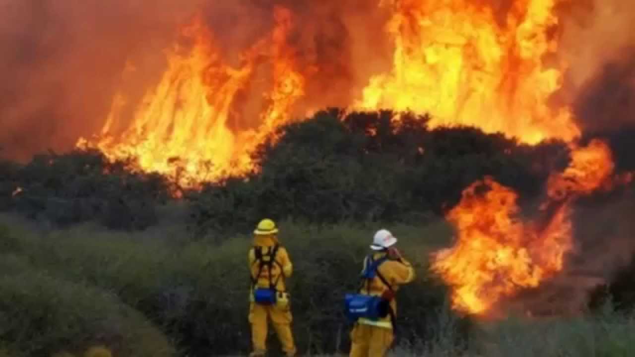 forest fire 2016 - youtube