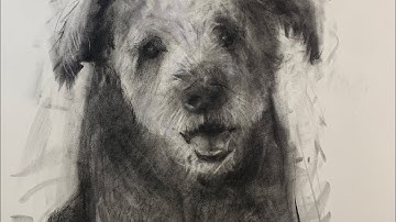 DOG CHARCOAL DRAWING