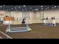 Pacific Equine Sport - .8M Jumper