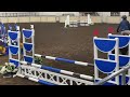 Pacific Equine Sport - .8M Jumper