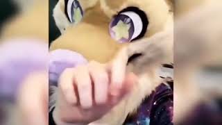 You probably already know this meme Profile