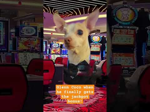 Casino Cups Part 81 Cuphead Comic Dubs {Ask Cuphead and Mugman} The Cups Go See Quadratus!