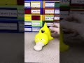 400% Psyduck Being Psyduck Newest Pokéman to my Shelf with the Others!