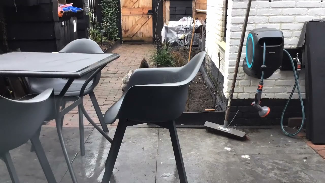 KipTV 26 december 2022