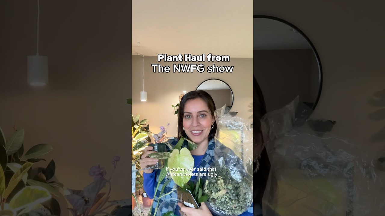 I bought too many plants while in Seattle 