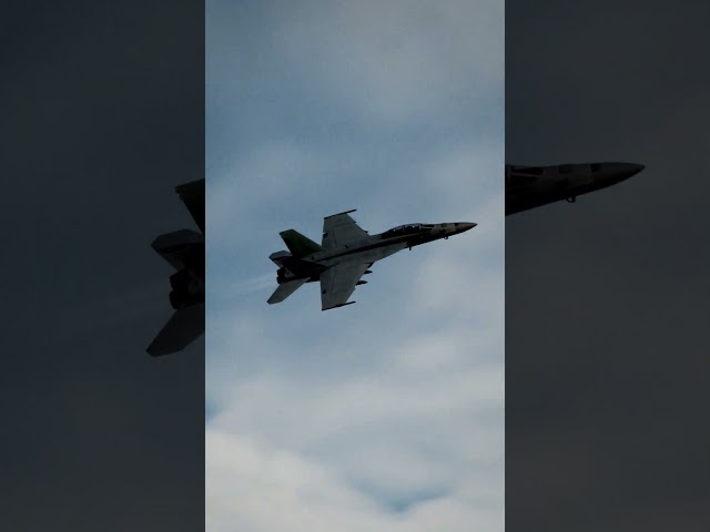 The howl of the F/A-18 Super Hornet.  #shorts #f18 #superhornet #dcs class=