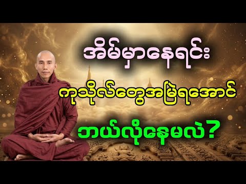 အိမ်မှာနေရင်း ကုသိုလ်တွေအမြဲရအောင် ဘယ်လိုနေရလဲ? #သစ္စာရွေစည်ဆရာတော်2026 #တရားတော်များ #thitsarshwesi