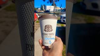 Have You Tried Flying Turtle