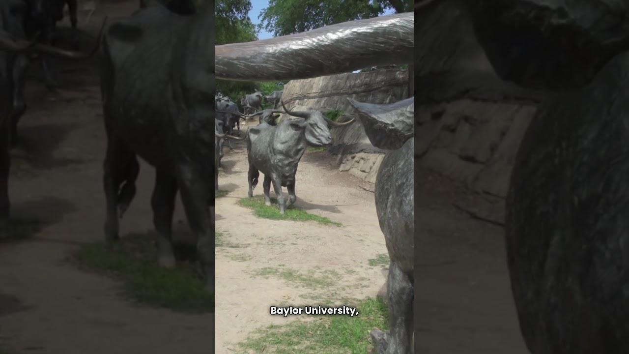 Waco 🤠 Fun Facts About the Heart of Texas 