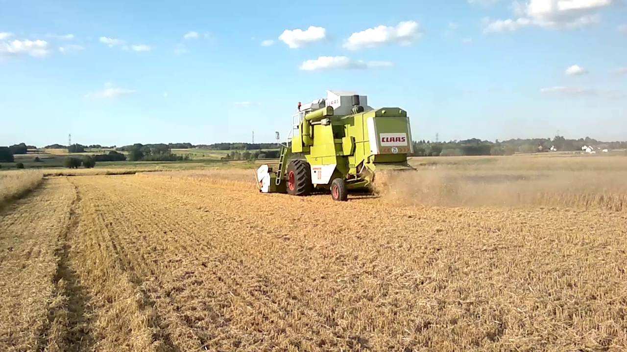 Żniwa 2016 Claas Dominator 66