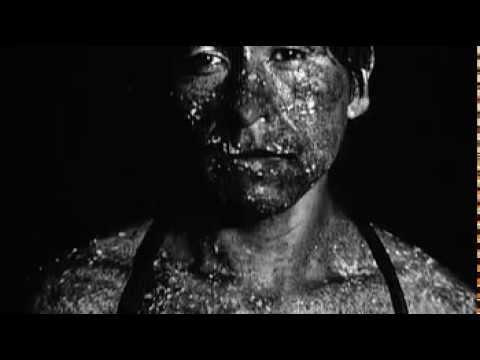 Todos los días la noche - Clip