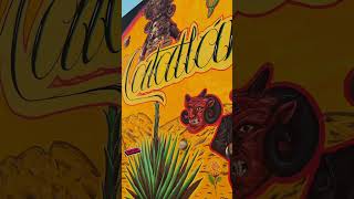 Valles Centrales De Oaxaca !