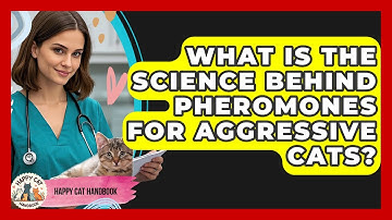 What Is The Science Behind Pheromones For Aggressive Cats? - Happy Cat Handbook
