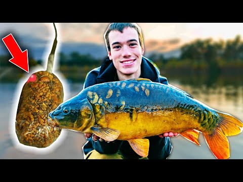 Carp Fishing Tutorials 