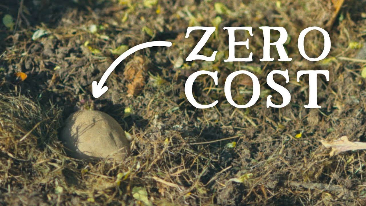 Zero Cost No-Dig Potatoes & Giant Field Beans | Huw's Garden Diaries