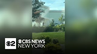 3 dead, 7 injured in Idaho In-N-Out shooting