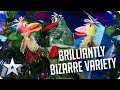 Brilliantly BIZARRE Variety! | BGT 2020