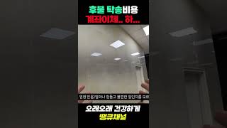 제발 입금 좀 제때해주세요! #대리기사 #대리수입 #대리기사수입 #프리랜서 #탁송 #대리 #팁 #대리기사시작하기 #대리기사일상 #대리기사방법 #대리운전# 탁송기사