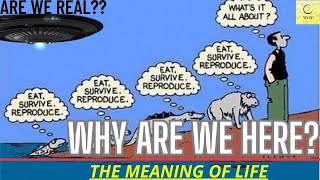 WHY Are We Here? Exploring the Meaning of Life| NEW VIDEO 2023