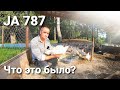 БРОЙЛЕР JA 787 - цветной или простой белый? Клетка или пол? Есть ли в нем смысл?