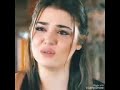 دنيا غريبة كلها ظلم بظلم دنيا غريبة كلها ظلم بظلم