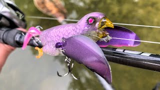 Flippin' The Bird At Smallies!