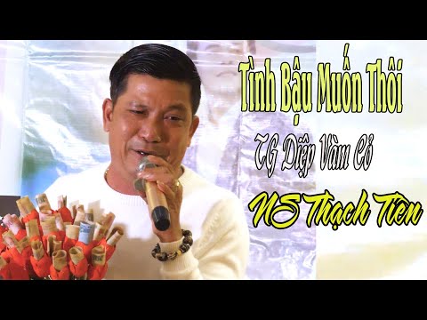 Video NS Thạch Tiên đi đến đâu ai cũng yêu cầu hát bài Ruột... - youtube