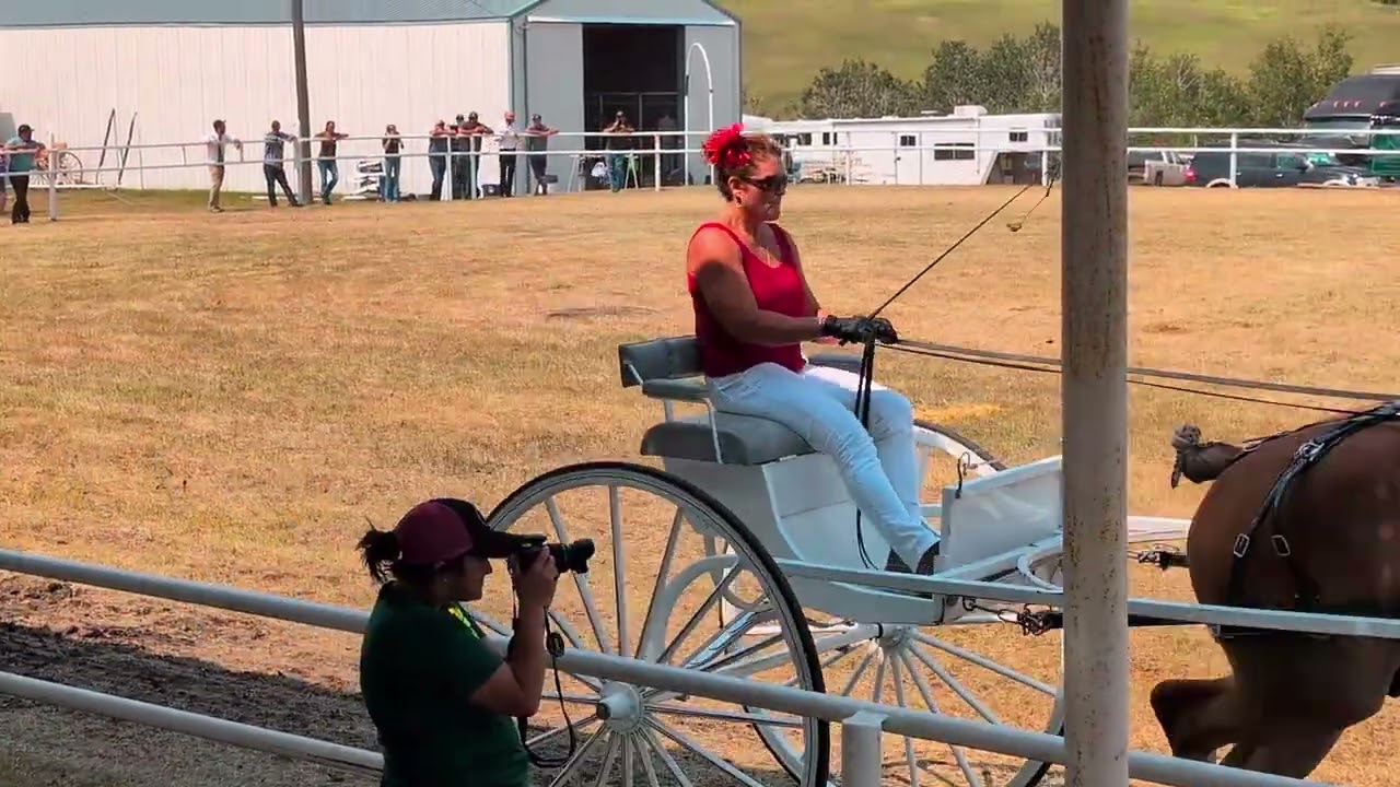 Horse Show & Wagon Teams | Birtle Fair 2025 – Rural Manitoba