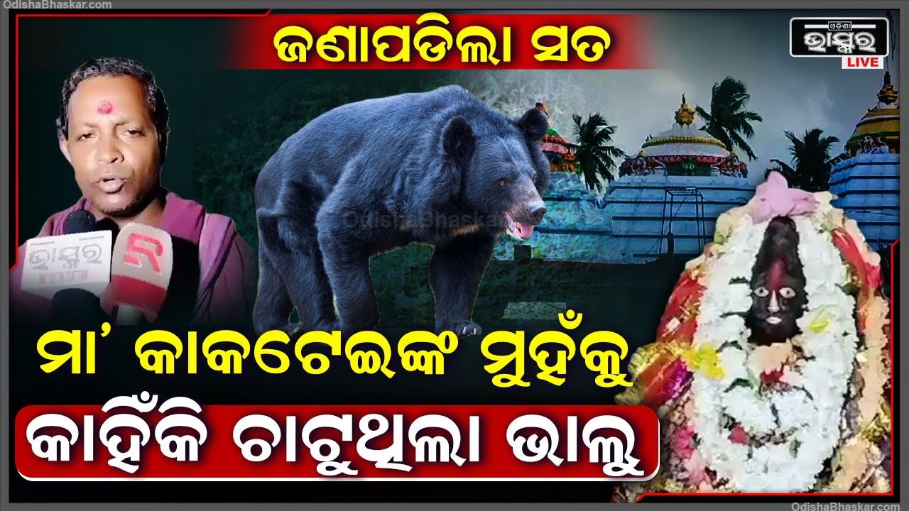 କିଏ ସେହି ମା' ଯାହାଙ୍କ ନାମରେ ନାମିତ ହୋଇଛି ଏହି କାକଟପୁର, ଆଉ କାହିଁକି ଏହି ମା'ଙ୍କ ମୁହଁକୁ ଚାଟୁଥିଲା ଭାଲୁ