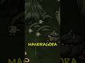 MANDRAGORAS — Guia de progressão Don't Starve Together #56