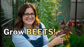 BEET GROWING GUIDE: Sweet, Tender Beets from Seed to Harvest