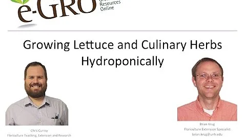 e-GRO Webinar - Growing Lettuce and Culinary Herbs Hydroponically