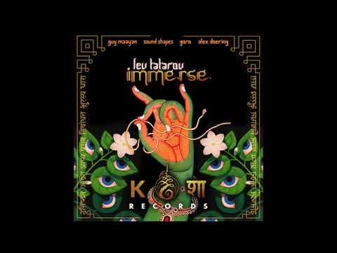 Lev Tatarov Sound Shapes Immerse Guy Maayan Remix Kosa Records 