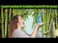 BAMBOO Wine: What’s the Secret Sauce? #news #signlanguage 