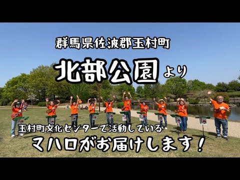 群馬県・玉村町北部公園でウクレレ弾いてみた/愛は勝つ/KAN