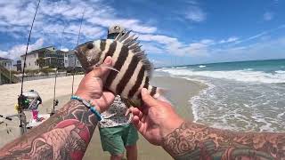 unexpected catch from the surf (garden city surf fishing)