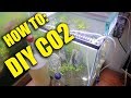 DIY CO2 for Planted Tanks