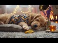 12Hours of Healing Music for Dogs🐶Calming Sleep Music for Dogs💖Relaxing Sounds All Night💖No Ads #412
