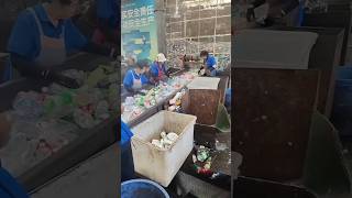 The sorting process if waste pet plastic bottles #machine #recycling #shorts