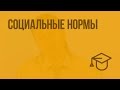 Социальные нормы. Видеоурок по обществознанию 7 класс