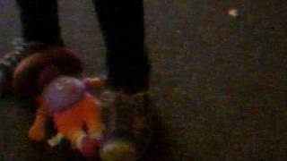 lets kill dora
